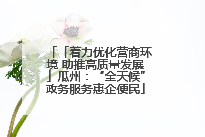 「着力优化营商环境 助推高质量发展」瓜州：“全天候”政务服务惠企便民