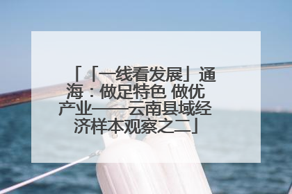「一线看发展」通海：做足特色 做优产业——云南县域经济样本观察之二