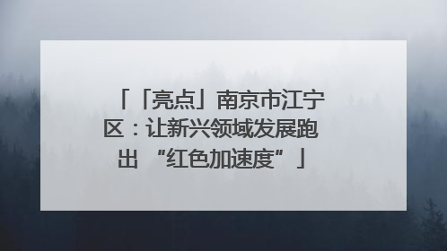 「亮点」南京市江宁区：让新兴领域发展跑出 “红色加速度”
