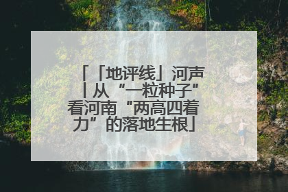 「地评线」河声丨从“一粒种子”看河南“两高四着力”的落地生根