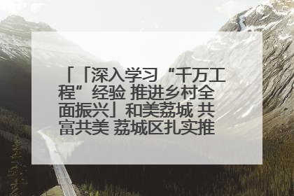 「深入学习“千万工程”经验 推进乡村全面振兴」和美荔城 共富共美 荔城区扎实推进乡村振兴工作