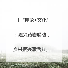 “理论+文化”：嘉兴黄岩联动，乡村振兴添活力