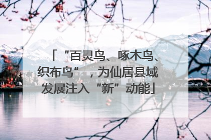 “百灵鸟、啄木鸟、织布鸟”，为仙居县域发展注入“新”动能