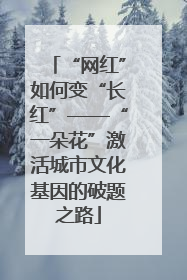 “网红”如何变“长红”——“一朵花”激活城市文化基因的破题之路