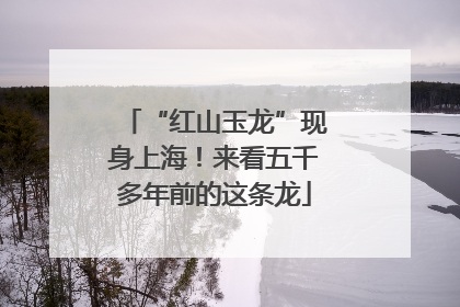 “红山玉龙”现身上海！来看五千多年前的这条龙
