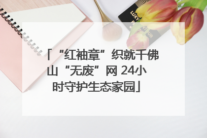 “红袖章”织就千佛山“无废”网 24小时守护生态家园