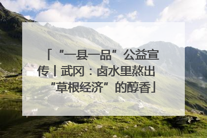 “一县一品”公益宣传丨武冈：卤水里熬出“草根经济”的醇香