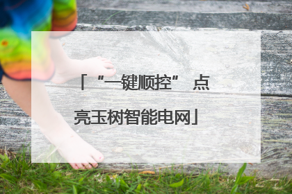 “一键顺控” 点亮玉树智能电网