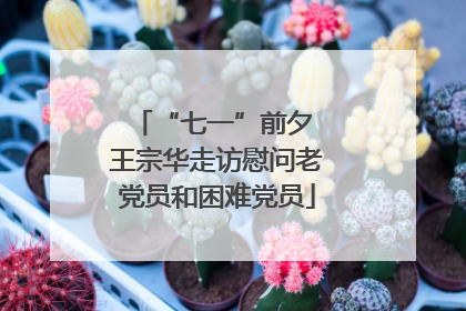 “七一”前夕 王宗华走访慰问老党员和困难党员