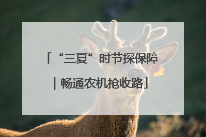 “三夏”时节探保障｜畅通农机抢收路
