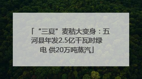 “三夏”麦秸大变身：五河县年发2.5亿千瓦时绿电 供20万吨蒸汽