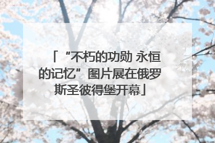 “不朽的功勋 永恒的记忆”图片展在俄罗斯圣彼得堡开幕