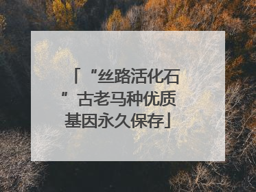 “丝路活化石”古老马种优质基因永久保存
