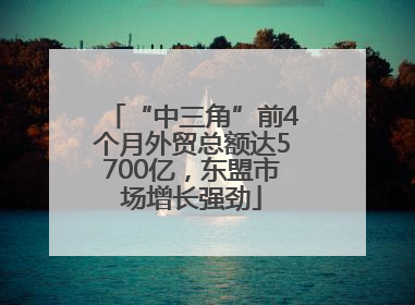 “中三角”前4个月外贸总额达5700亿，东盟市场增长强劲