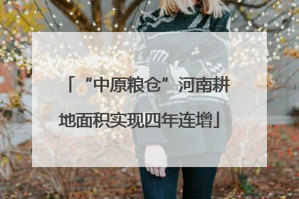 “中原粮仓”河南耕地面积实现四年连增