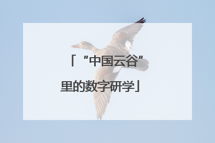 “中国云谷”里的数字研学