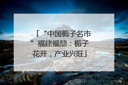“中国栀子名市”福建福鼎：栀子花开，产业兴旺