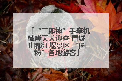 “二郎神”手牵机械哮天犬迎客 青城山都江堰景区 “圈粉”各地游客