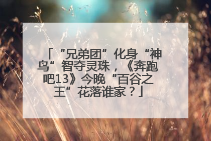 “兄弟团”化身“神鸟”智夺灵珠，《奔跑吧13》今晚“百谷之王”花落谁家？