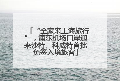 “全家来上海旅行”，浦东机场口岸迎来沙特、科威特首批免签入境旅客