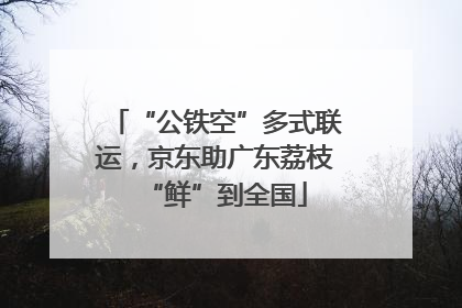 “公铁空”多式联运，京东助广东荔枝“鲜”到全国