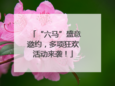 “六马”盛意邀约，多项狂欢活动来袭！