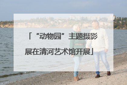 “动物园”主题摄影展在清河艺术馆开展