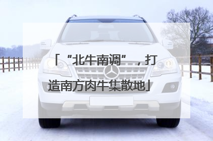 “北牛南调”，打造南方肉牛集散地