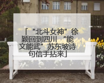 “北斗女神”徐颖回到四川 “能文能武”苏东坡诗句信手拈来
