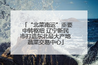 “北菜南运”重要中转枢纽 辽宁新民市打造东北最大产地蔬菜交易中心