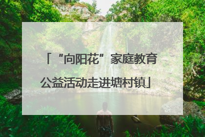 “向阳花”家庭教育公益活动走进塘村镇