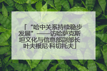 “哈中关系持续稳步发展”——访哈萨克斯坦文化与信息部副部长叶夫根尼·科切托夫