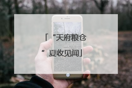 “天府粮仓”夏收见闻