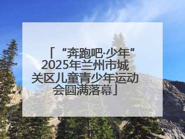 “奔跑吧·少年”2025年兰州市城关区儿童青少年运动会圆满落幕