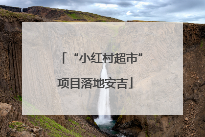 “小红村超市”项目落地安吉
