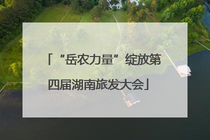 “岳农力量”绽放第四届湖南旅发大会