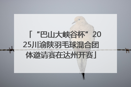 “巴山大峡谷杯”2025川渝陕羽毛球混合团体邀请赛在达州开赛