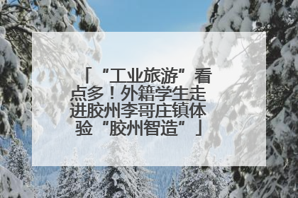 “工业旅游”看点多！外籍学生走进胶州李哥庄镇体验“胶州智造”