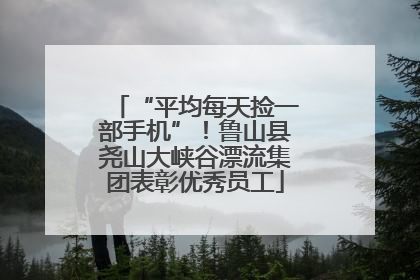 “平均每天捡一部手机”！鲁山县尧山大峡谷漂流集团表彰优秀员工