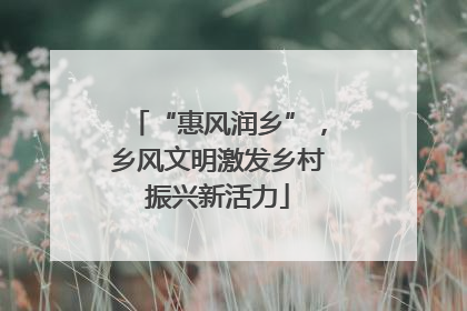 “惠风润乡”，乡风文明激发乡村振兴新活力