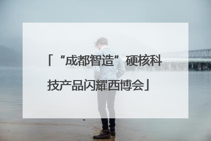“成都智造”硬核科技产品闪耀西博会
