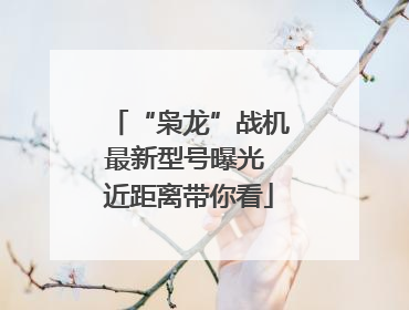 “枭龙”战机最新型号曝光 近距离带你看