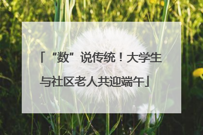 “数”说传统！大学生与社区老人共迎端午