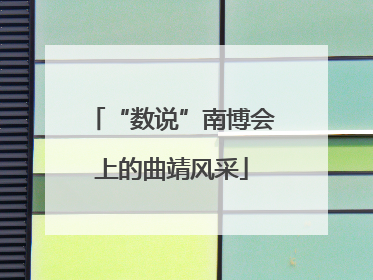 “数说”南博会上的曲靖风采