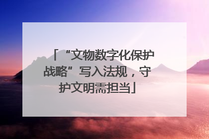 “文物数字化保护战略”写入法规，守护文明需担当