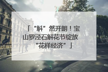 “斛”然开朗！宝山罗泾石斛花节绽放“花样经济”