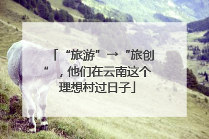 “旅游”→“旅创”，他们在云南这个理想村过日子
