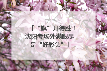 “旗”开得胜！沈阳考场外满眼尽是“好彩头”
