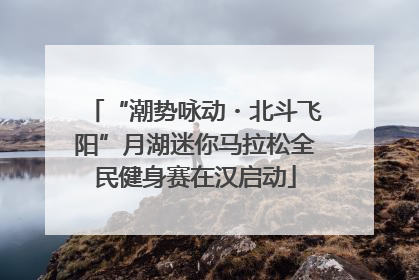 “潮势咏动・北斗飞阳”月湖迷你马拉松全民健身赛在汉启动