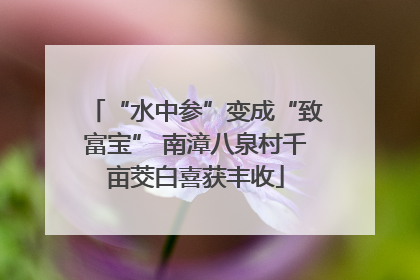 “水中参”变成“致富宝” 南漳八泉村千亩茭白喜获丰收
